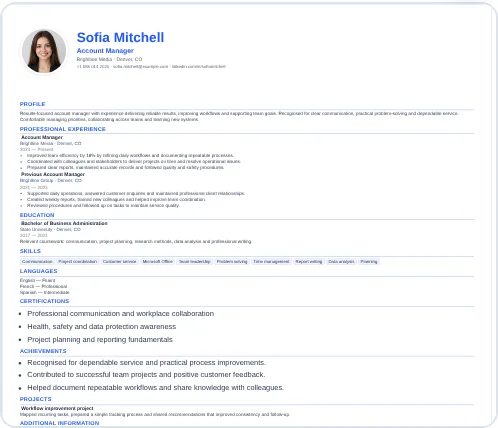 Professional – CV template 1